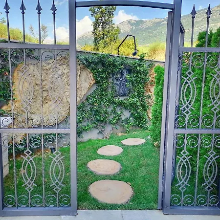 Montedreams Royal